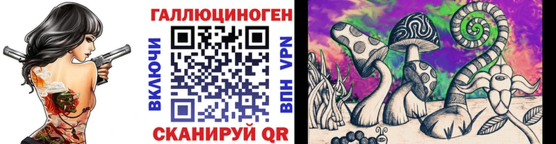 Галлюциногенные грибы Psilocybine cubensis  Купить закладки  Теберда 
